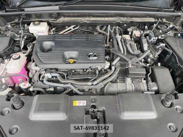Lexus NX 2023-05 8830001-17
