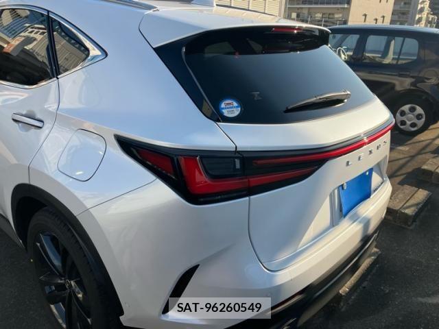 Lexus NX 2023-09 8830005-3