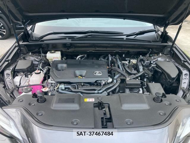 Lexus NX 2025-04 8830003-2