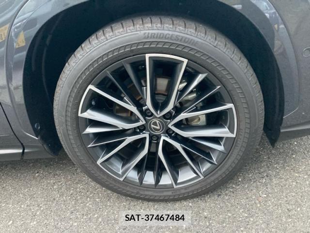 Lexus NX 2025-04 8830003-3