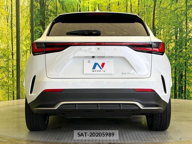 Lexus NX 2025-07 8849599-14