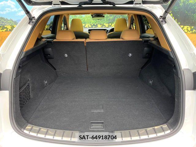 Lexus NX 2023-08 8880540-9