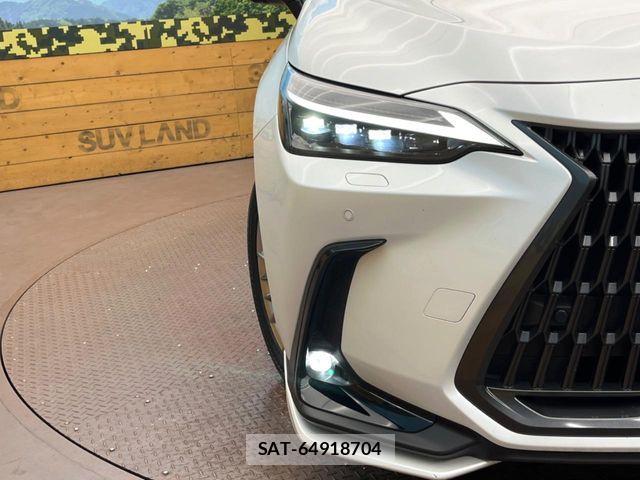 Lexus NX 2023-08 8880540-11
