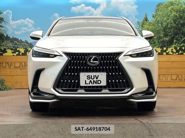 Lexus NX 2023-08 8880540-13