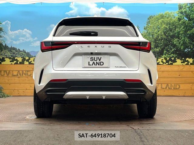 Lexus NX 2023-08 8880540-14