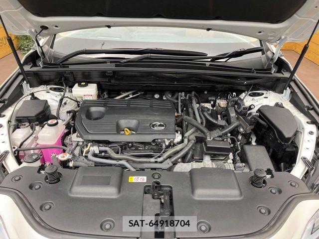 Lexus NX 2023-08 8880540-17