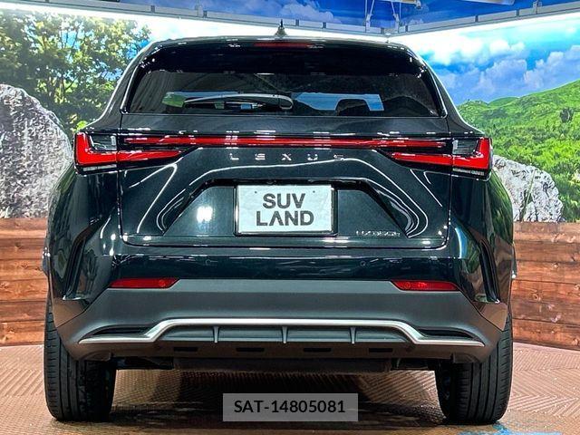 Lexus NX 2023-07 8880537-14