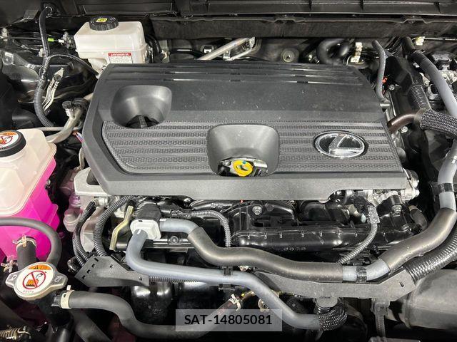Lexus NX 2023-07 8880537-17