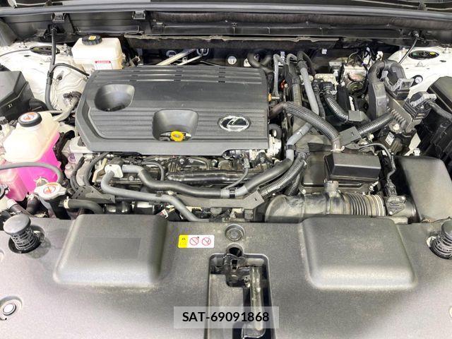 Lexus NX 2023-08 8883856-17