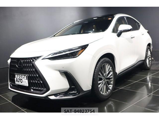 Lexus NX 2024-05 4110261-0