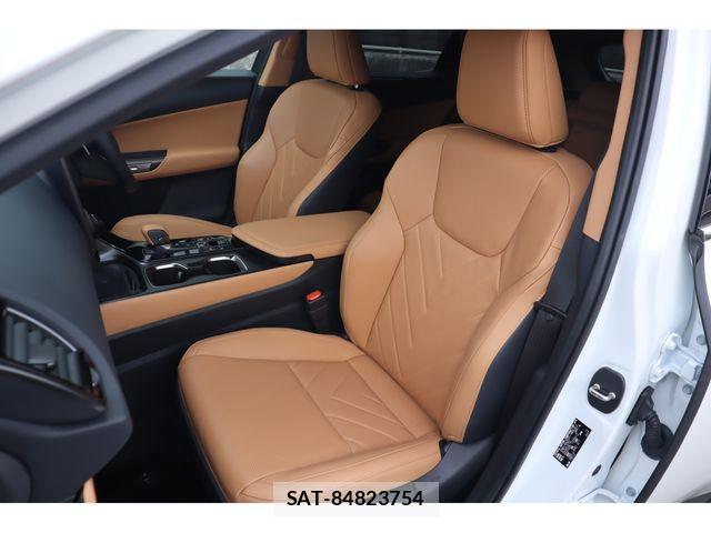 Lexus NX 2024-05 4110261-9