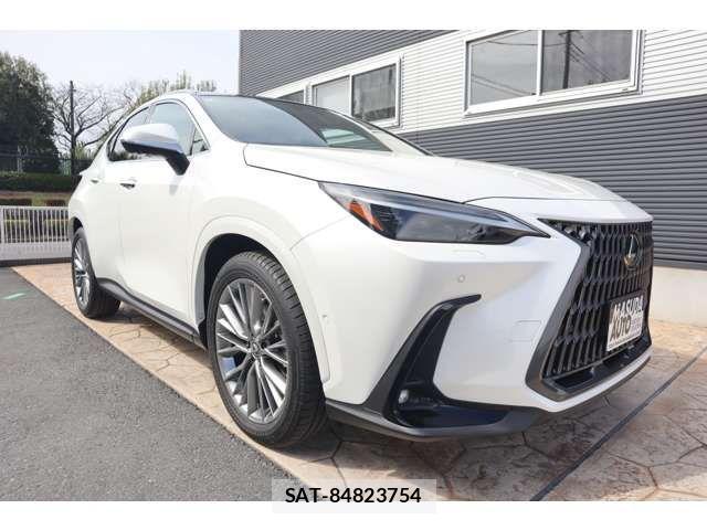 Lexus NX 2024-05 4110261-2