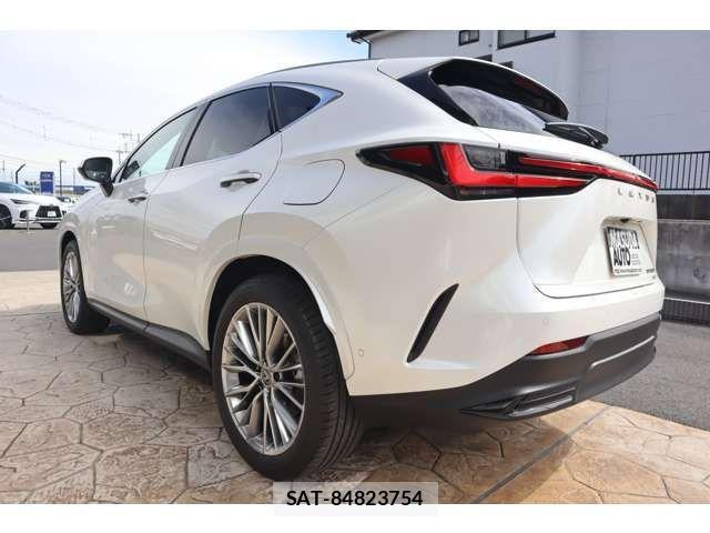 Lexus NX 2024-05 4110261-4