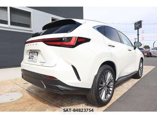 Lexus NX 2024-05 4110261-6