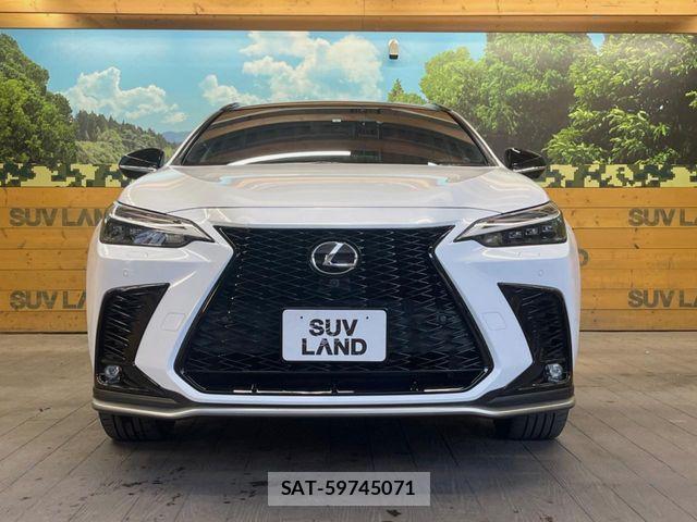 Lexus NX 2023-03 4964848-13