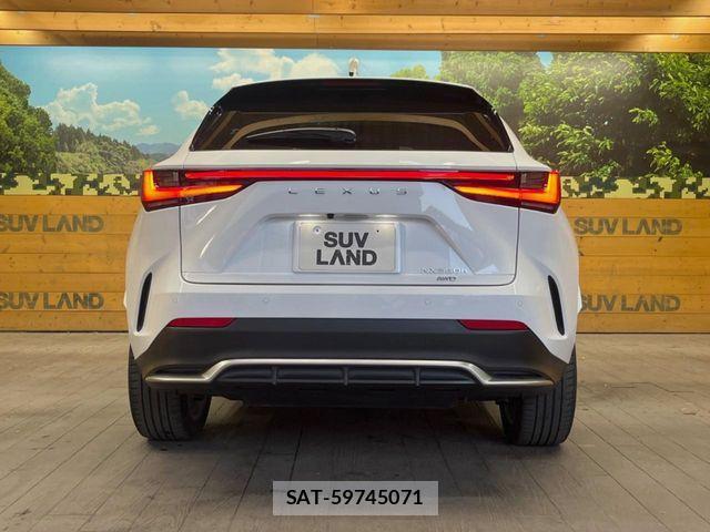 Lexus NX 2023-03 4964848-14