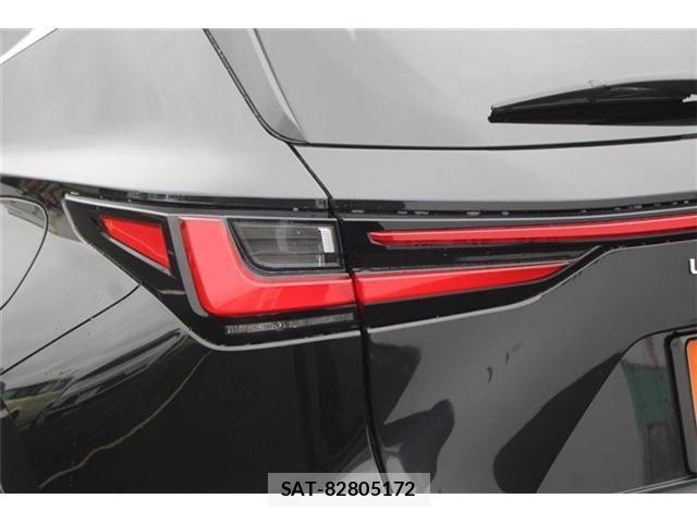 Lexus NX 2023-02 6011819-14