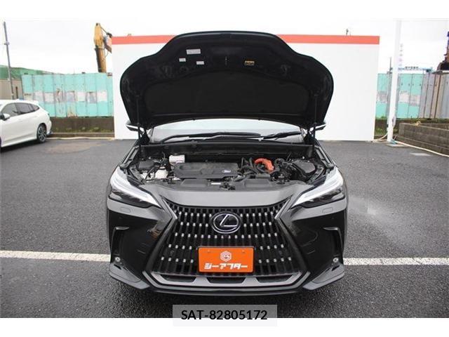 Lexus NX 2023-02 6011819-28