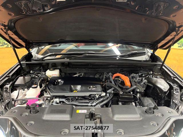 Lexus NX 2023-08 6135412-19