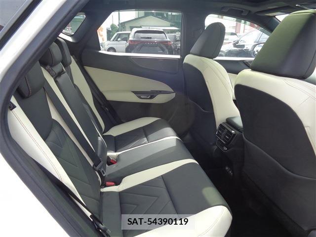 Lexus NX 2023-12 6612923-20
