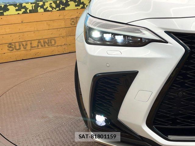 Lexus NX 2025-07 6716554-11