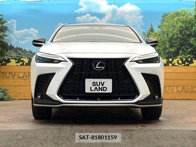 Lexus NX 2025-07 6716554-13
