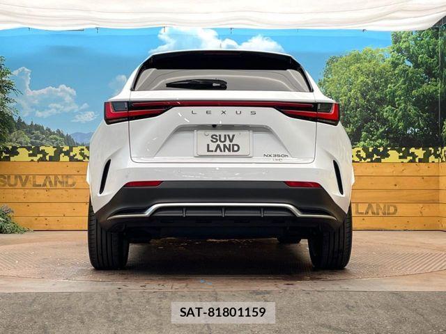 Lexus NX 2025-07 6716554-14