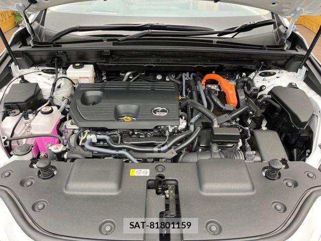 Lexus NX 2025-07 6716554-17