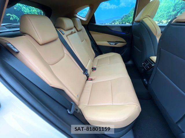 Lexus NX 2025-07 6716554-8