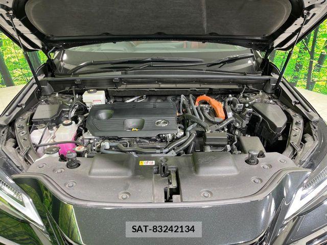 Lexus NX 2023-07 6815735-18