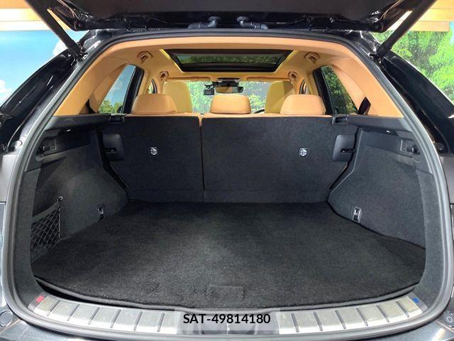 Lexus NX 2023-08 6815733-9