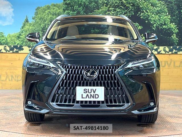 Lexus NX 2023-08 6815733-13