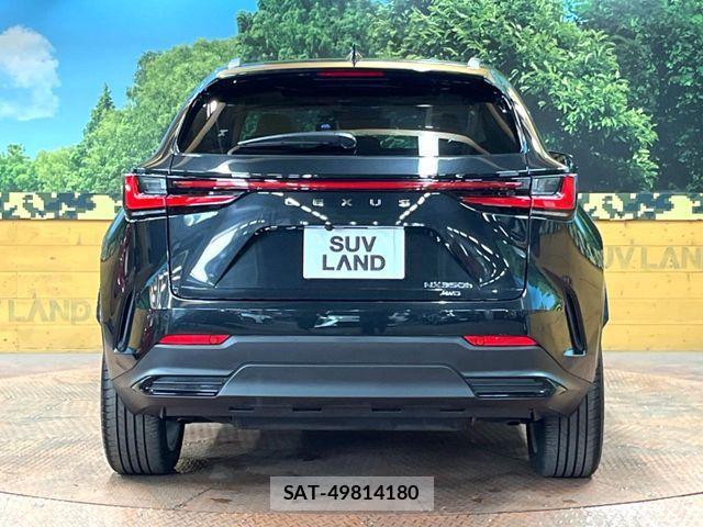 Lexus NX 2023-08 6815733-14