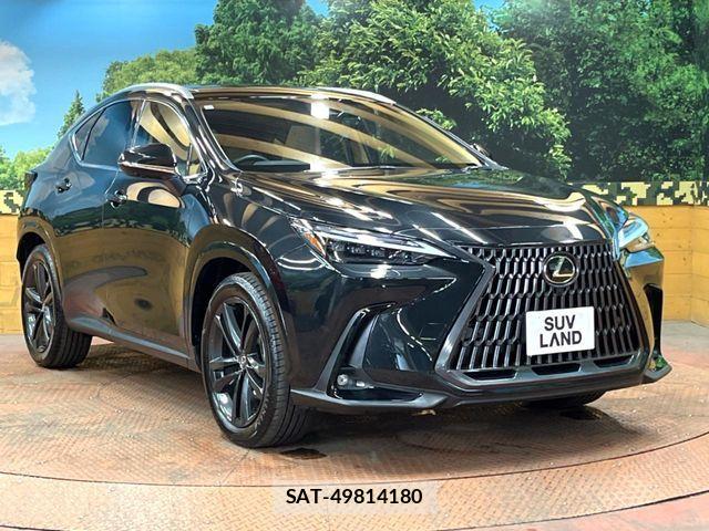 Lexus NX 2023-08 6815733-15