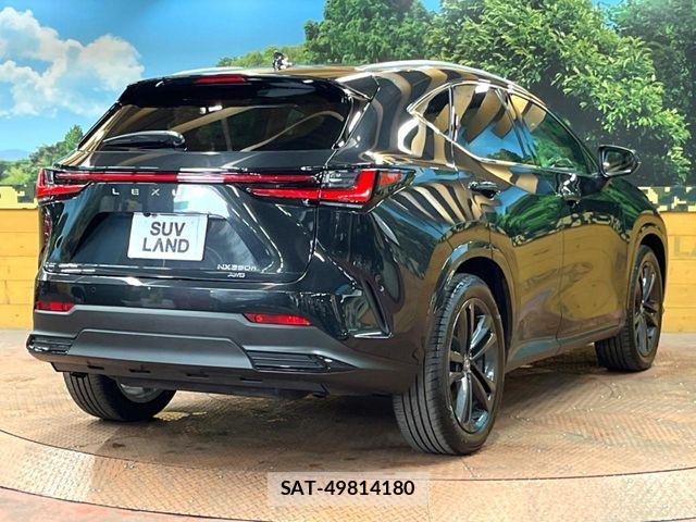 Lexus NX 2023-08 6815733-16
