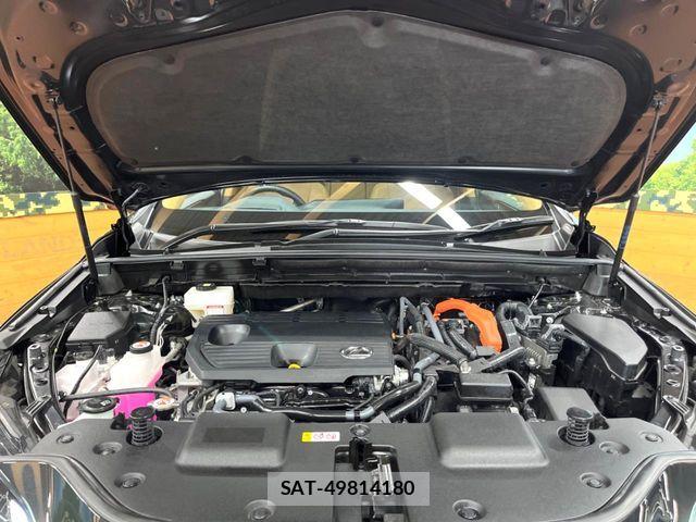 Lexus NX 2023-08 6815733-17