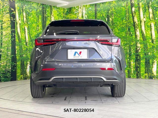 Lexus NX 2022-11 6907819-14