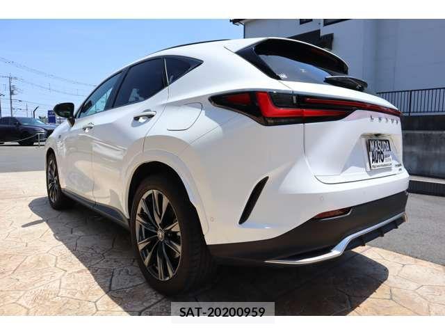 Lexus NX 2024-01 6995161-4