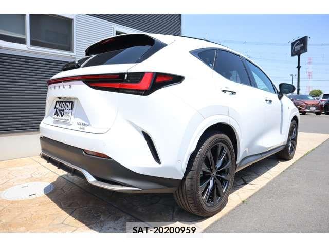 Lexus NX 2024-01 6995161-6
