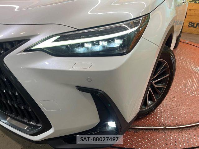 Lexus NX 2023-10 7020787-11