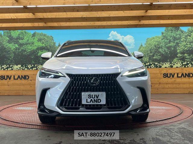 Lexus NX 2023-10 7020787-13