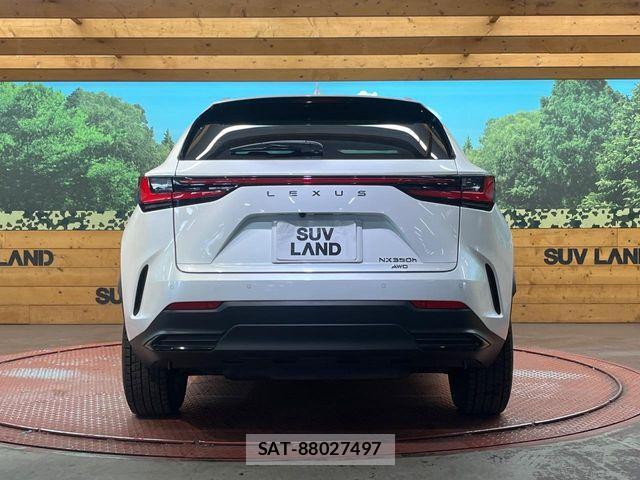 Lexus NX 2023-10 7020787-14