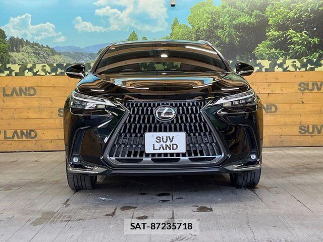Lexus NX 2023-07 7020786-13