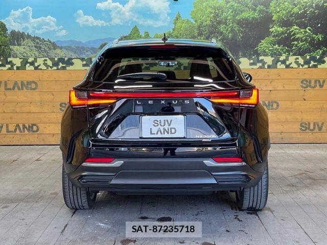 Lexus NX 2023-07 7020786-14