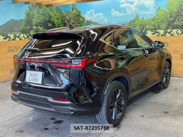 Lexus NX 2023-07 7020786-16