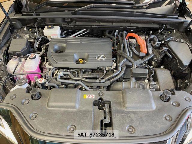 Lexus NX 2023-07 7020786-17