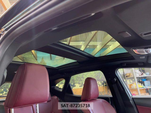 Lexus NX 2023-07 7020786-2