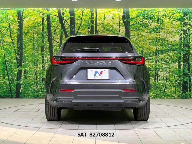 Lexus NX 2023-03 7221091-14