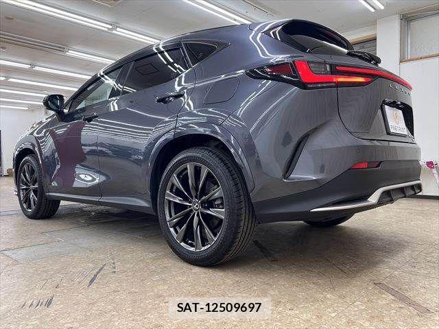 Lexus NX 2023-04 7221094-18