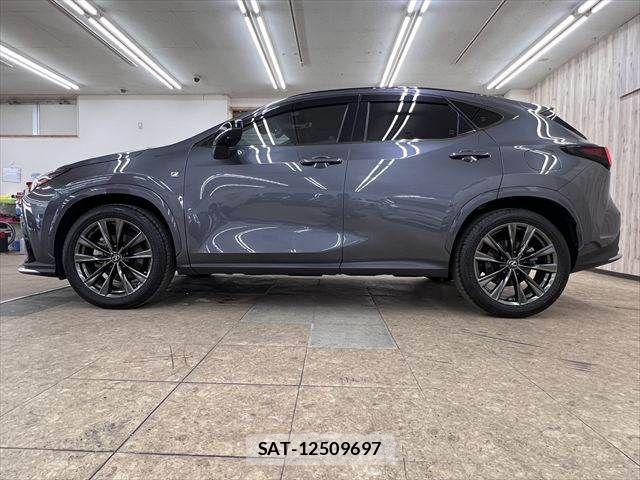Lexus NX 2023-04 7221094-19